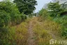 Land for sale in Bang Sue, Bangkok near MRT Bang Son