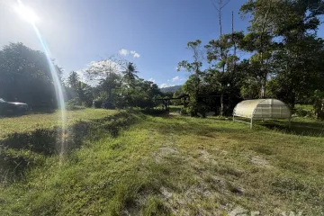 Land for sale in Lo Yung, Phang Nga