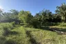 Land for sale in Lo Yung, Phang Nga