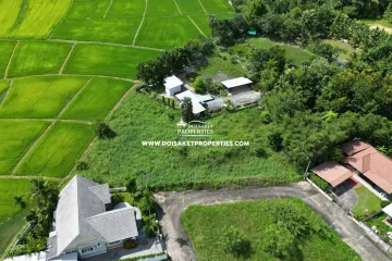Land for sale in Choeng Doi, Chiang Mai