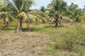 Land for sale in Choeng Thale, Phuket