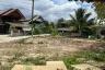 Land for sale in San Phak Wan, Chiang Mai