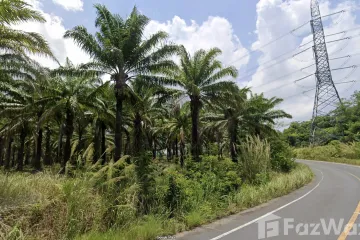 Land for sale in Lo Yung, Phang Nga