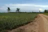 Land for sale in Hua Hin, Prachuap Khiri Khan