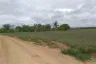 Land for sale in Hua Hin, Prachuap Khiri Khan