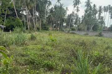 Land for sale in Mae Nam, Surat Thani