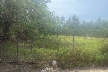 Land for sale in Mae Nam, Surat Thani