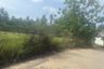 Land for sale in Mae Nam, Surat Thani