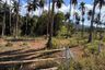 Land for sale in Mae Nam, Surat Thani