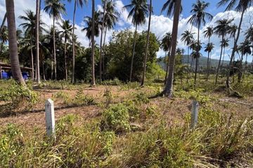 Land for sale in Mae Nam, Surat Thani