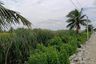 Land for sale in Khum Thong, Bangkok