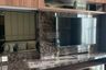 2 Bedroom Condo for rent in Noble Revolve Ratchada, Huai Khwang, Bangkok near MRT Thailand Cultural Centre