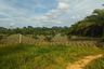 Land for sale in Nong Thale, Krabi