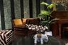 3 Bedroom Condo for sale in Na Vara Residence, Lumpini, Bangkok near BTS Chit Lom