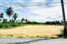 Land for sale in Pong, Chonburi