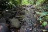 Land for sale in Ban Pong, Chiang Mai