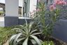 4 Bedroom House for sale in Chaiyapruek Bangbuathong, Bang Rak Phatthana, Nonthaburi