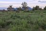 Land for sale in Pran Buri, Prachuap Khiri Khan