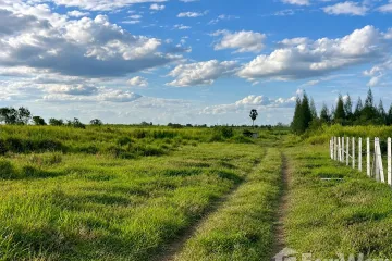 Land for sale in Hin Lek Fai, Prachuap Khiri Khan