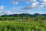 Land for sale in Hin Lek Fai, Prachuap Khiri Khan