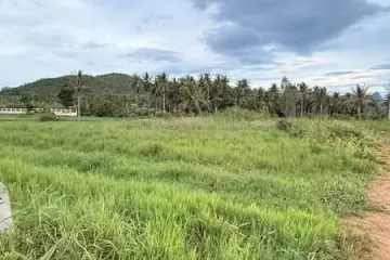 Land for sale in Sam Roi Yot, Prachuap Khiri Khan