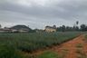 Land for sale in Sam Roi Yot, Prachuap Khiri Khan