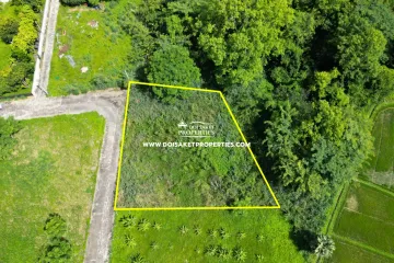 Land for sale in Choeng Doi, Chiang Mai
