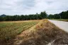 Land for sale in Nong Phlap, Prachuap Khiri Khan