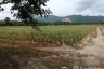 Land for sale in Nong Phlap, Prachuap Khiri Khan