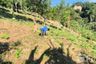 Land for sale in Sakhu, Phuket