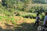 Land for sale in Sakhu, Phuket