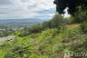 Land for sale in Bo Phut, Surat Thani