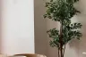 2 Bedroom Condo for rent in Altitude Symphony Charoenkrung - Sathorn, Wat Phraya Krai, Bangkok near BTS Saphan Taksin