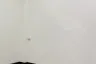 Commercial for rent in MT&T Building, Phra Khanong Nuea, Bangkok near BTS Phra Khanong