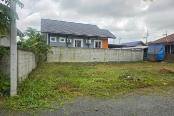 Land for sale in Nong Pla Lai, Chonburi