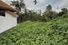 Land for sale in Maret, Surat Thani