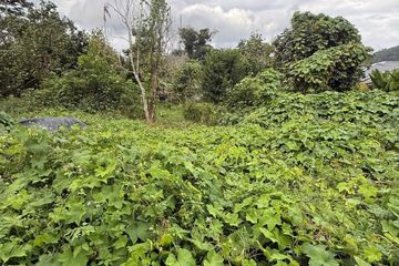 Land for sale in Maret, Surat Thani