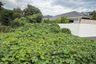 Land for sale in Maret, Surat Thani