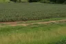 Land for sale in Rai Mai, Prachuap Khiri Khan