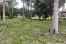 Land for sale in Sam Roi Yot, Prachuap Khiri Khan