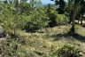 Land for sale in Bo Phut, Surat Thani