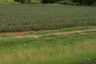 Land for sale in Rai Mai, Prachuap Khiri Khan