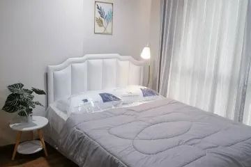 Condo for rent in The Tree Bangpho Station, Bang Sue, Bangkok near MRT Tao Poon