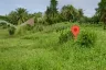 Land for sale in Hin Lek Fai, Prachuap Khiri Khan