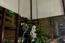 3 Bedroom Condo for Sale or Rent in The Emporio Place, Khlong Tan, Bangkok near BTS Phrom Phong