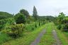 Land for sale in Thap Tai, Prachuap Khiri Khan