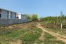 Land for sale in Wang Phong, Prachuap Khiri Khan