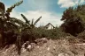 Land for sale in Bang Ramat, Bangkok