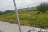 Land for sale in San Phi Suea, Chiang Mai