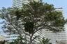1 Bedroom Condo for sale in View Talay Condo 7, Nong Prue, Chonburi